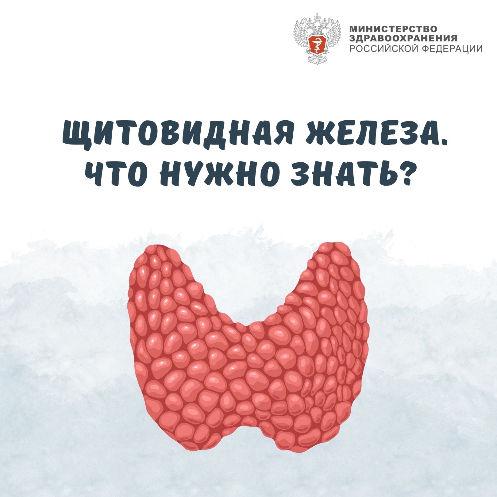 19.05 — 25.05.2025 Неделя профилактики заболеваний эндокринной системы (в честь Всемирного дня щитовидной железы 25 мая).
